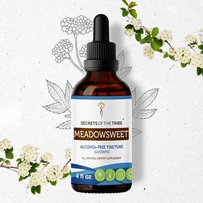 Buy Meadowsweet Tincture online - Secrets Of The Tribe