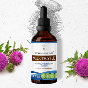 Secrets Of The Tribe Milk Thistle Tincture buy online 