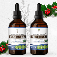 Load image into Gallery viewer, Secrets Of The Tribe Mistletoe Tincture buy online 