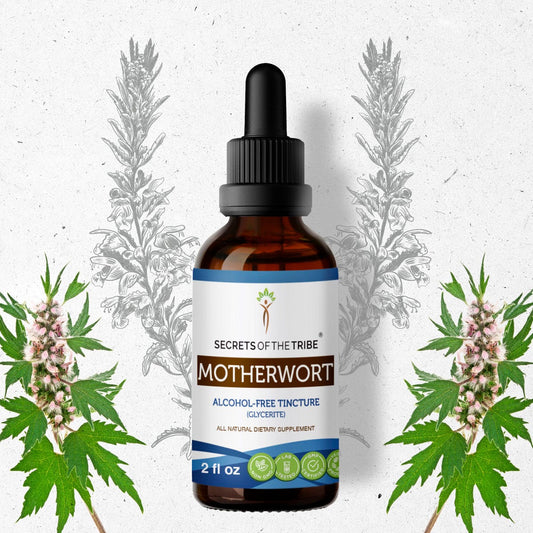 Secrets Of The Tribe Motherwort Tincture buy online 