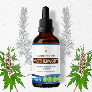 Secrets Of The Tribe Motherwort Tincture buy online 