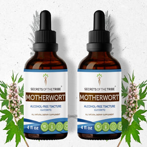 Secrets Of The Tribe Motherwort Tincture buy online 