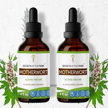 Load image into Gallery viewer, Secrets Of The Tribe Motherwort Tincture buy online 