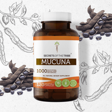 Load image into Gallery viewer, Secrets Of The Tribe Mucuna Capsules buy online 