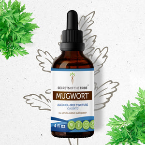 Secrets Of The Tribe Mugwort Tincture buy online 