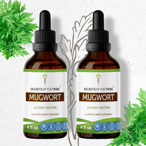 Secrets Of The Tribe Mugwort Tincture buy online 