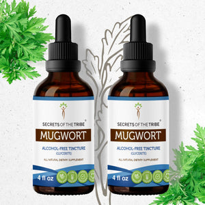 Secrets Of The Tribe Mugwort Tincture buy online 