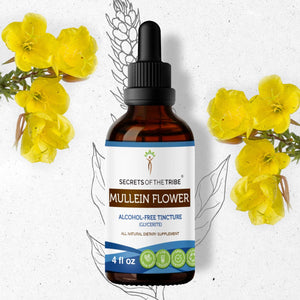 Secrets Of The Tribe Mullein Flower Tincture buy online 