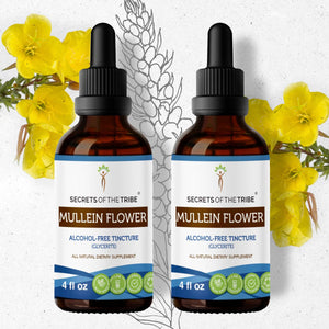 Secrets Of The Tribe Mullein Flower Tincture buy online 