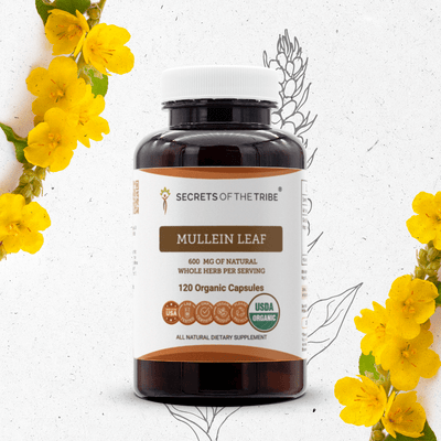 Mullein Leaf Capsules Secrets Of The Tribe Capsules Secrets Of The Tribe