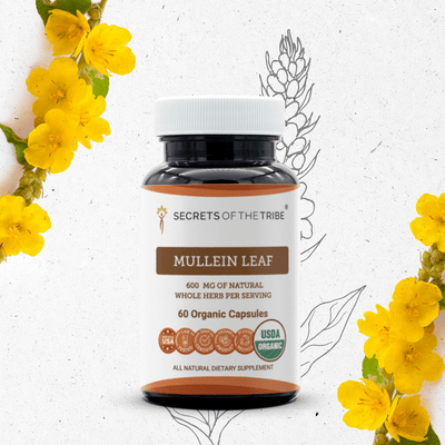 Mullein Leaf Capsules Secrets Of The Tribe Capsules Secrets Of The Tribe