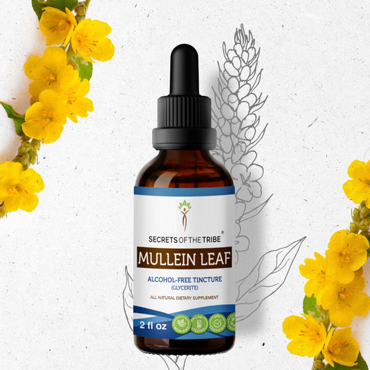 Secrets Of The Tribe Mullein Leaf Tincture buy online 