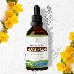 Secrets Of The Tribe Mullein Leaf Tincture buy online 