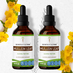 Secrets Of The Tribe Mullein Leaf Tincture buy online 