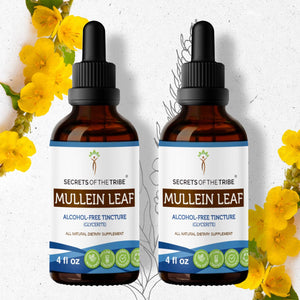 Secrets Of The Tribe Mullein Leaf Tincture buy online 