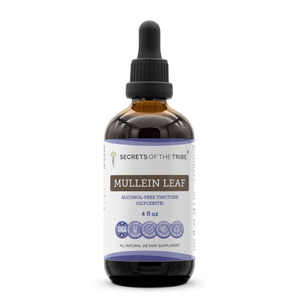 Secrets Of The Tribe Mullein Leaf Tincture buy online 