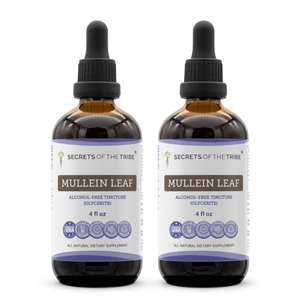 Secrets Of The Tribe Mullein Leaf Tincture buy online 