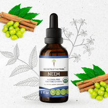 Load image into Gallery viewer, Secrets Of The Tribe Neem Tincture buy online 