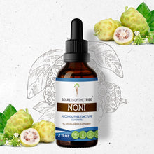 Load image into Gallery viewer, Secrets Of The Tribe Noni Tincture buy online 