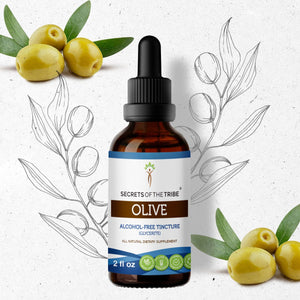 Secrets Of The Tribe Olive Tincture buy online 