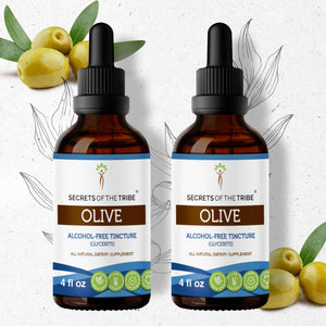 Secrets Of The Tribe Olive Tincture buy online 