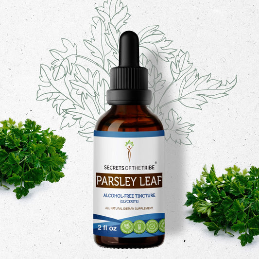 Secrets Of The Tribe Parsley Leaf Tincture buy online 