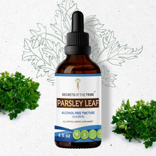 Load image into Gallery viewer, Secrets Of The Tribe Parsley Leaf Tincture buy online 