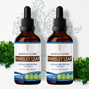 Secrets Of The Tribe Parsley Leaf Tincture buy online 