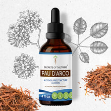 Load image into Gallery viewer, Secrets Of The Tribe Pau d&#39;Arco Tincture buy online 
