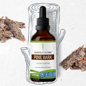 Secrets Of The Tribe Pine Bark Tincture buy online 