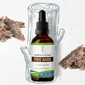 Secrets Of The Tribe Pine Bark Tincture buy online 