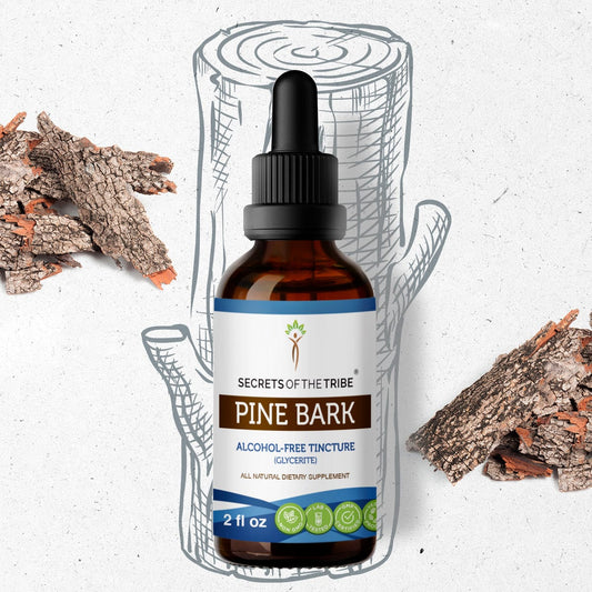 Secrets Of The Tribe Pine Bark Tincture buy online 