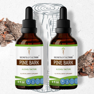 Secrets Of The Tribe Pine Bark Tincture buy online 