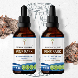 Secrets Of The Tribe Pine Bark Tincture buy online 