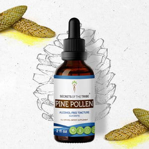 Secrets Of The Tribe Pine Pollen Tincture buy online 