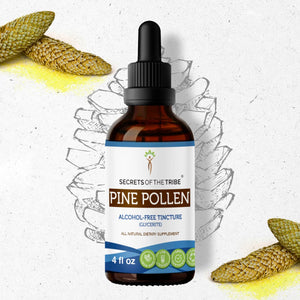 Secrets Of The Tribe Pine Pollen Tincture buy online 