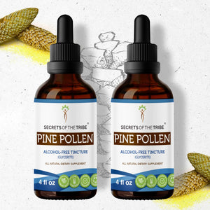 Secrets Of The Tribe Pine Pollen Tincture buy online 