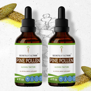 Secrets Of The Tribe Pine Pollen Tincture buy online 