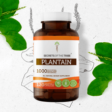 Load image into Gallery viewer, Secrets Of The Tribe Plantain Capsules buy online 