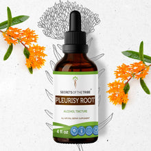 Load image into Gallery viewer, Secrets Of The Tribe Pleurisy Root Tincture buy online 