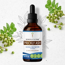 Load image into Gallery viewer, Secrets Of The Tribe Prickly Ash Tincture buy online 