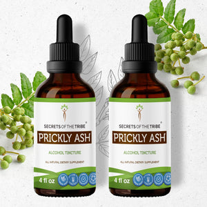 Secrets Of The Tribe Prickly Ash Tincture buy online 