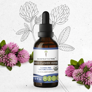 Secrets Of The Tribe Red Clover Herb Tincture buy online 