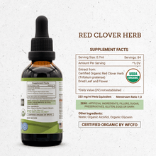 Load image into Gallery viewer, Secrets Of The Tribe Red Clover Herb Tincture buy online 