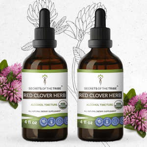 Secrets Of The Tribe Red Clover Herb Tincture buy online 