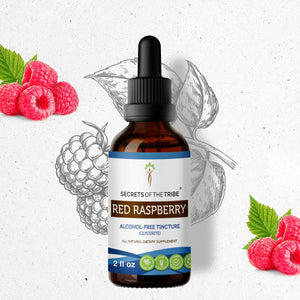 Secrets Of The Tribe Red Raspberry Tincture buy online 