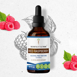 Secrets Of The Tribe Red Raspberry Tincture buy online 