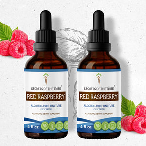 Secrets Of The Tribe Red Raspberry Tincture buy online 