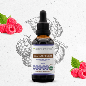 Secrets Of The Tribe Red Raspberry Tincture buy online 