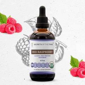 Secrets Of The Tribe Red Raspberry Tincture buy online 